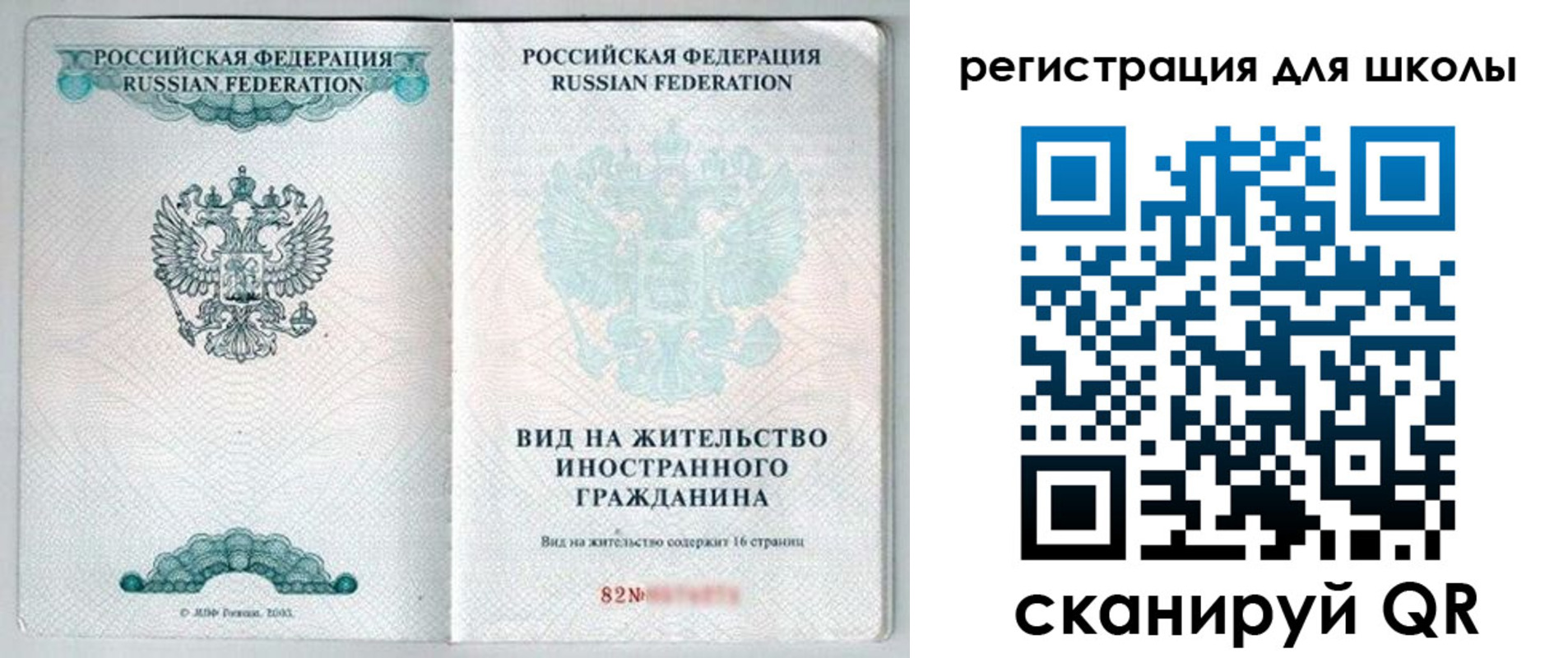 прописка гарантия в Хвалынске
